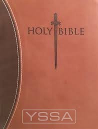 KJV thinline bible large print dark brow