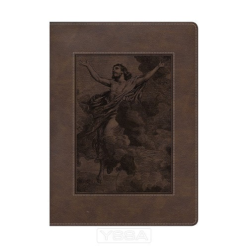 Gospel project Bible, Christ ascending, 