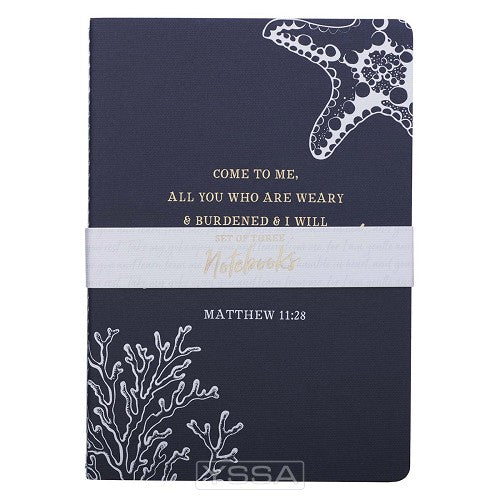 Women collection - Navy - Set of 3