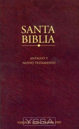 Santa Biblia - paperback